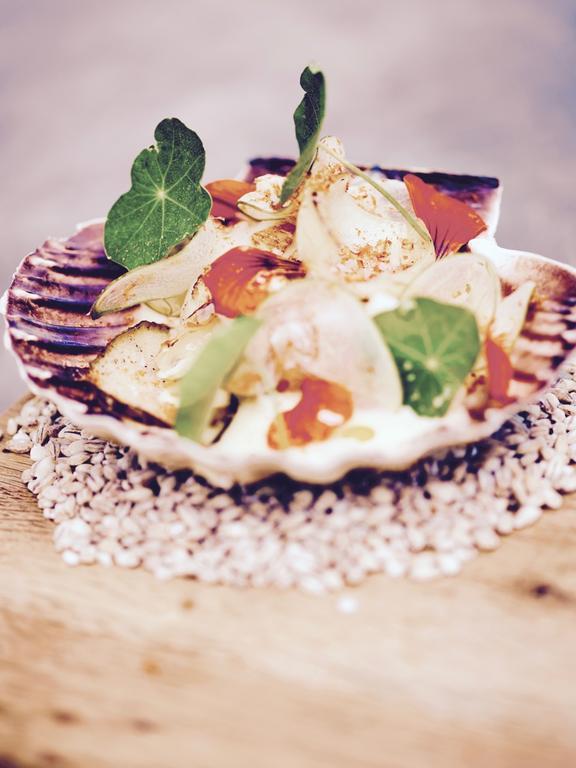 Haellsnaes & Restaurang Hotell